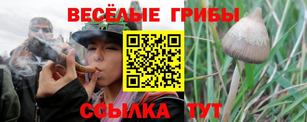 Усть-Илимск  Псилоцибиновые грибы Psilocybe  Вход с VPN 
