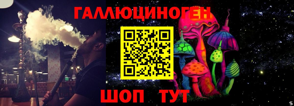 Псилоцибиновые грибы GOLDEN TEACHER Усть-Илимск